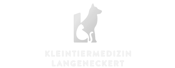 <p>Hermannstr. 30 <br />77654 Offenburg</p>